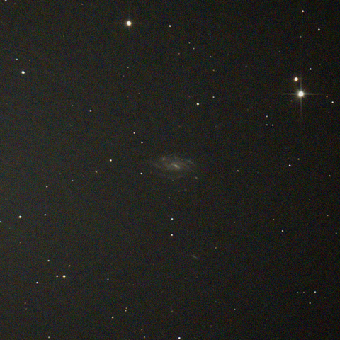 578_231208X500x500_dss_cap
