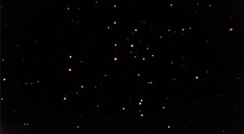 M41