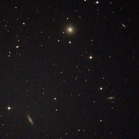 524_231202X500x500_dss_cap