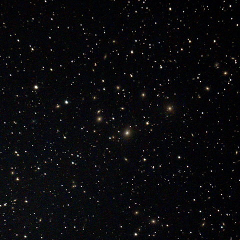 C24_1275_231202X500x500_dss_cap