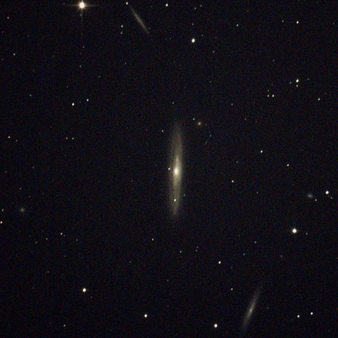 4216_240217X500x500_dss_cap