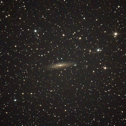 2613_240212X500x500_dss_cap