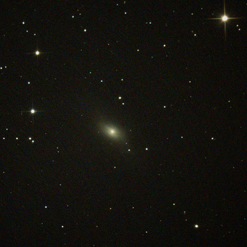 4753_240218X500x500_dss_cap