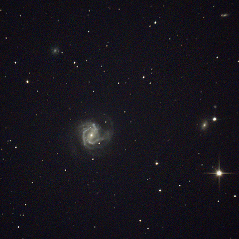 M61_240217X500x500_dss_cap