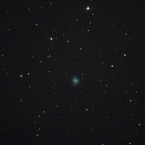 4361_240217X500x500_dss_cap