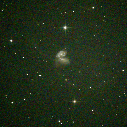 4038_4039_240217X500x500_dss_cap