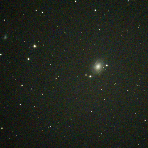 4030_240218X500x500_dss_cap