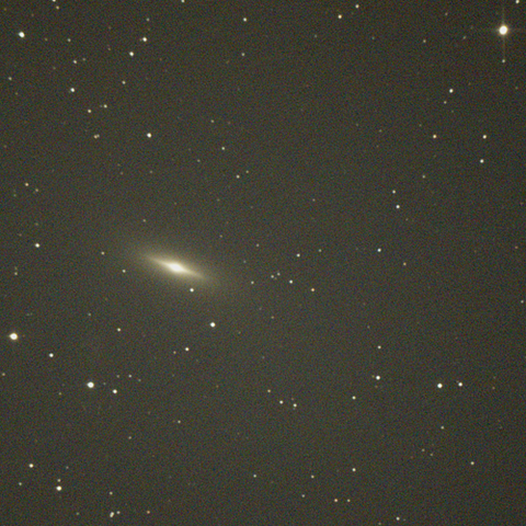 3115_240218X500x500_dss_cap