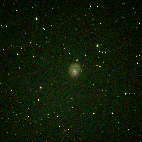 1637_240212X500x500_dss_cap