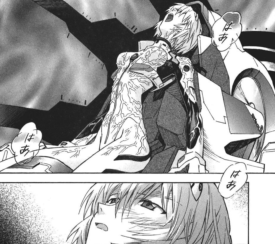 新世紀エヴァンゲリオン 10巻 コス壊