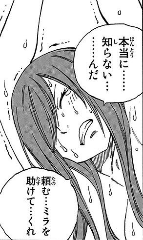 フェアリーテイル完結 コス壊 フェアリーテイル完結 コス壊