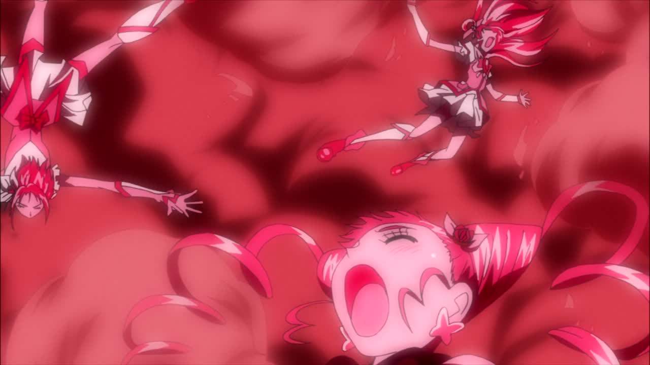 映画 プリキュアオールスターズdx みんなともだちっ 奇跡の全員大集合 コス壊