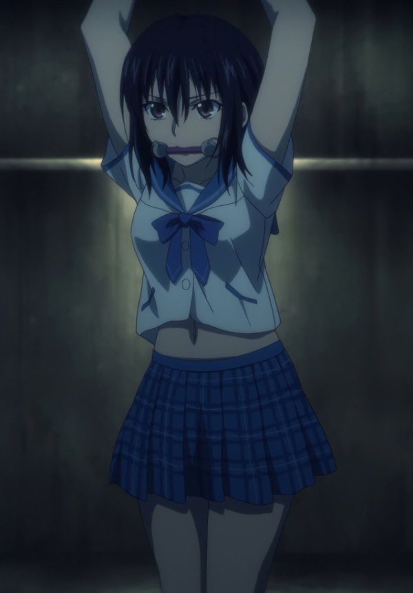 ストライク・ザ・ブラッド 生原画 姫柊雪菜 1話パンチラシーン