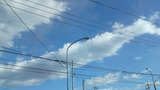 6605309d.jpg