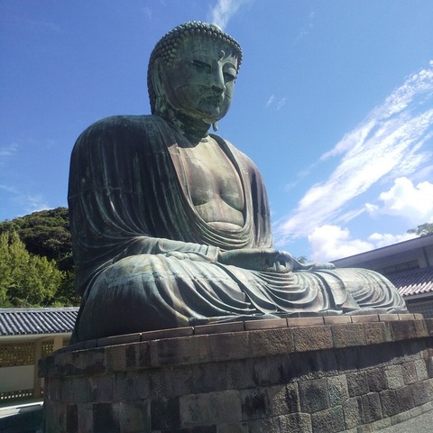 img (1)
