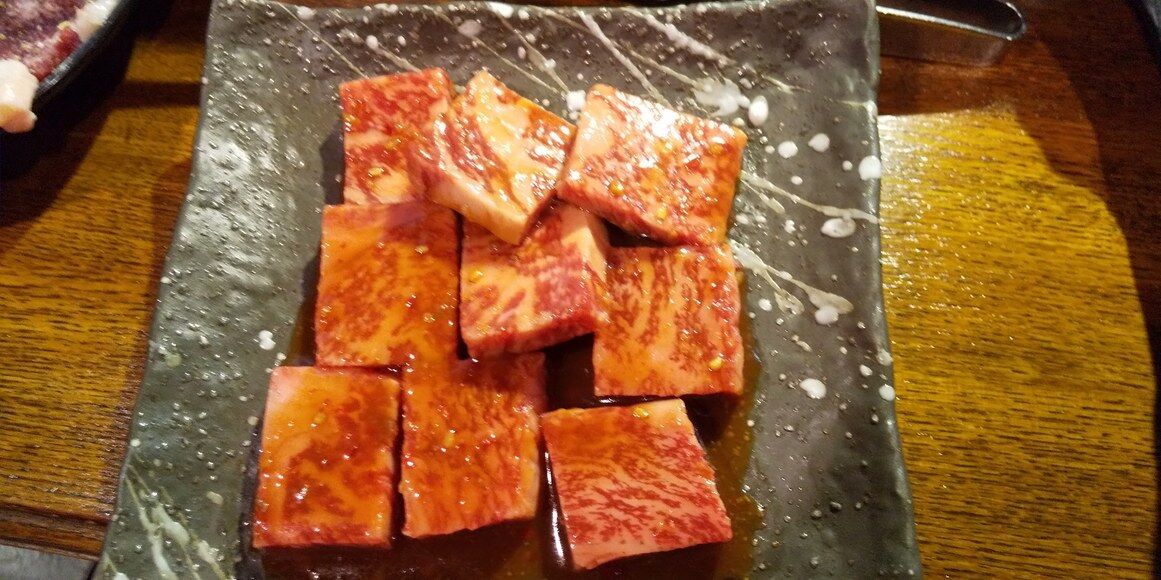 外食解禁 希少部位も豊富に揃う穴場の焼肉屋へ 西田辺 たつみ 大阪グルメひとり旅 外食解禁 希少部位も豊富に揃う穴場の焼肉屋へ 西田辺 たつみ 大阪グルメひとり旅