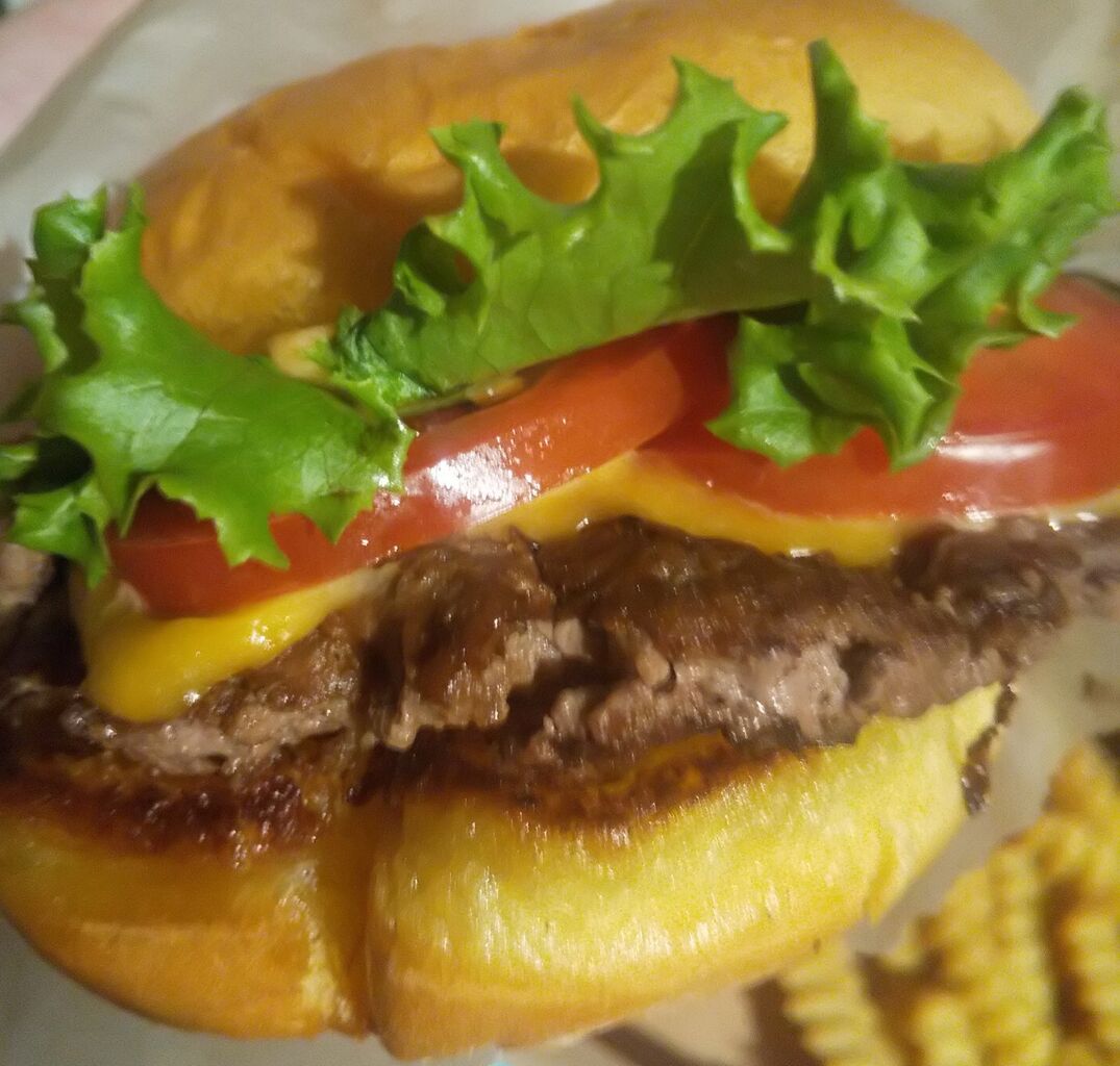 肉感すごい アメリカ発の超人気ハンバーガーを初めて食べてみた 梅田 シェイクシャック 大阪グルメひとり旅 肉感すごい アメリカ発の超人気ハンバーガーを初めて食べてみた 梅田 シェイクシャック 大阪グルメひとり旅