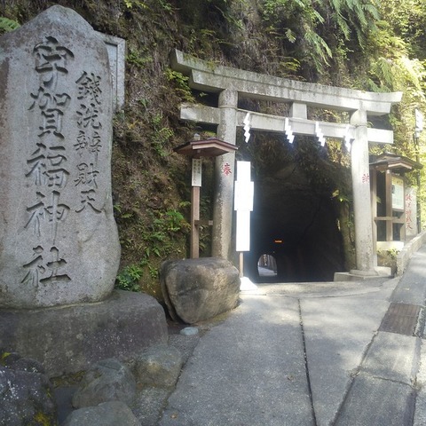 img (2)