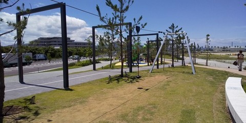 img (20)
