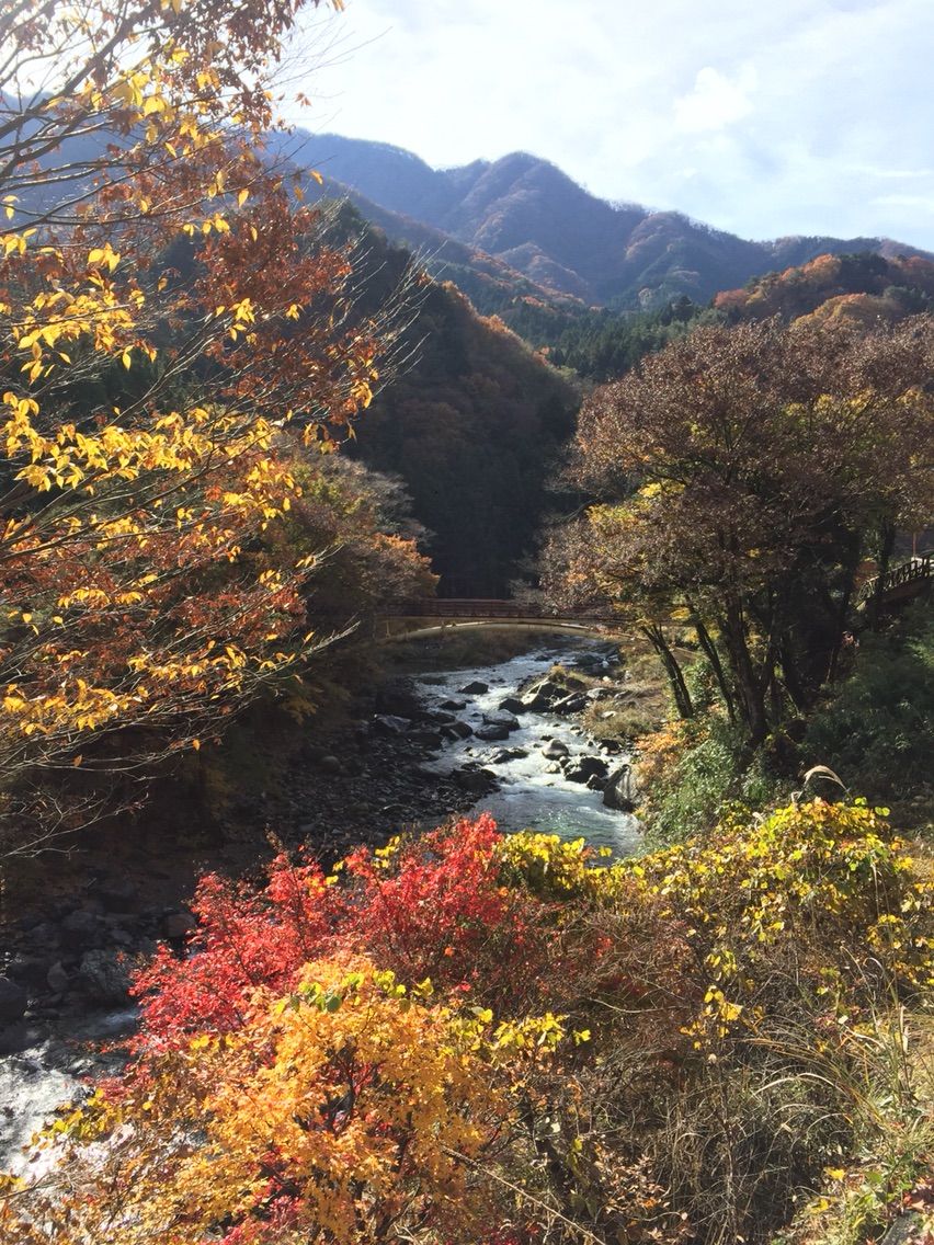 道志いのしか祭ライドに行ってきました 道志みち編 ディスクロードバイク日記 道志いのしか祭ライドに行ってきました 道志みち編 ディスクロードバイク日記
