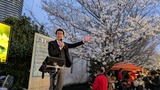 3月27日南区白幡商店会と南浦和商店会のお花見会