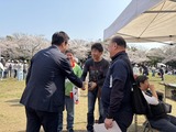 3月29日市民公園の桜まつり9
