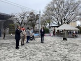 4月6日戸田市・新田口公園リニューアル記念お花見会、美女木6丁目町会の桜を愛でる会2