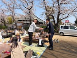 3月29日中央7丁目・春日町会の桜まつり11