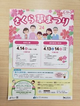 4月14日桜区さくら草まつり5