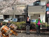 3月28日蕨市南町さくらまつり・旭町3丁目のお花見会4