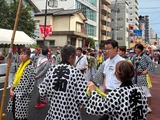 7月26日浦和まつり46回みこし渡御3