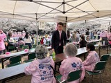 3月29日市民公園の桜まつり3