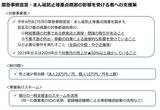 4月26日経済成長戦略本部7