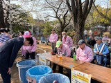3月29日市民公園の桜まつり4