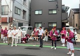7月26日浦和まつり46回みこし渡御12