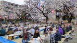 3月28日南区南浦和2丁目自治会の炊出訓練&懇親花見会2