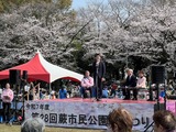3月29日市民公園の桜まつり