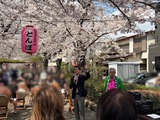 3月28日蕨市南町さくらまつり・旭町3丁目のお花見会2