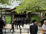 8月15日みんなで靖国神社に参拝する国会議員の会3