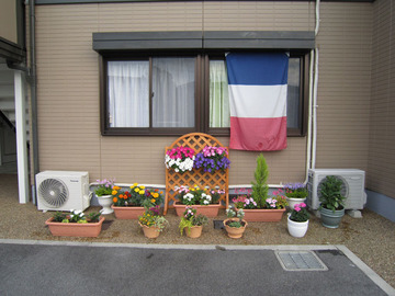 2012-6 花-1