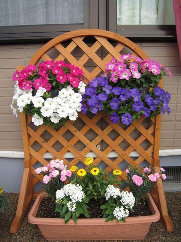 2012-6 花-2