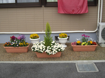 2012-4 お花-1