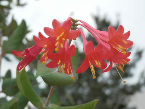 P7200043