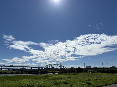 S__22822977_0