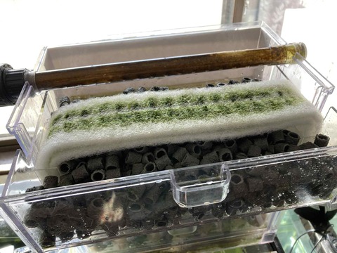 8cb43017-bdf5-4958-a062-e4470b85e53c