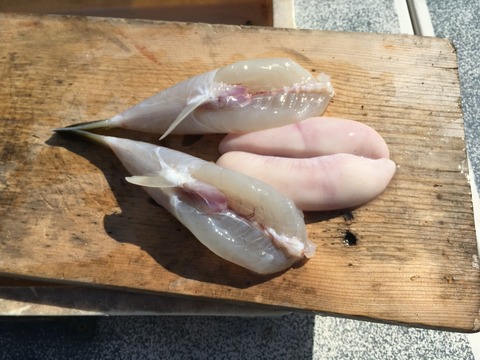 PD1-1524302404-12-609