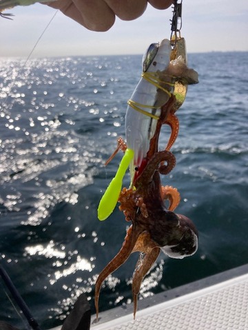 image10