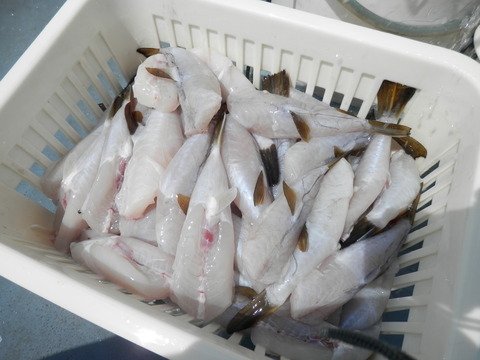 P6100124
