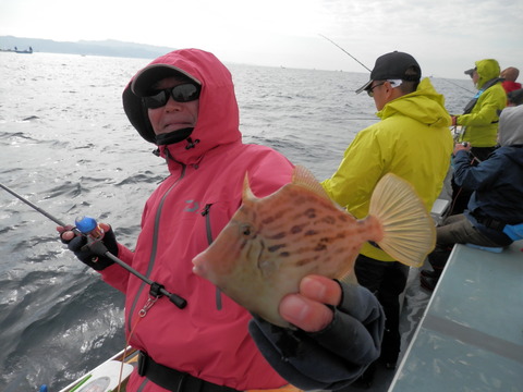 PB010063