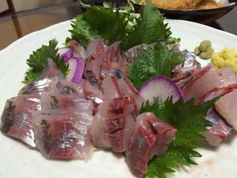 28829473_1824711584274980_63016338_n